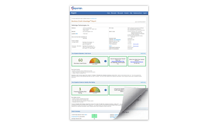 Sample Business Credit Report