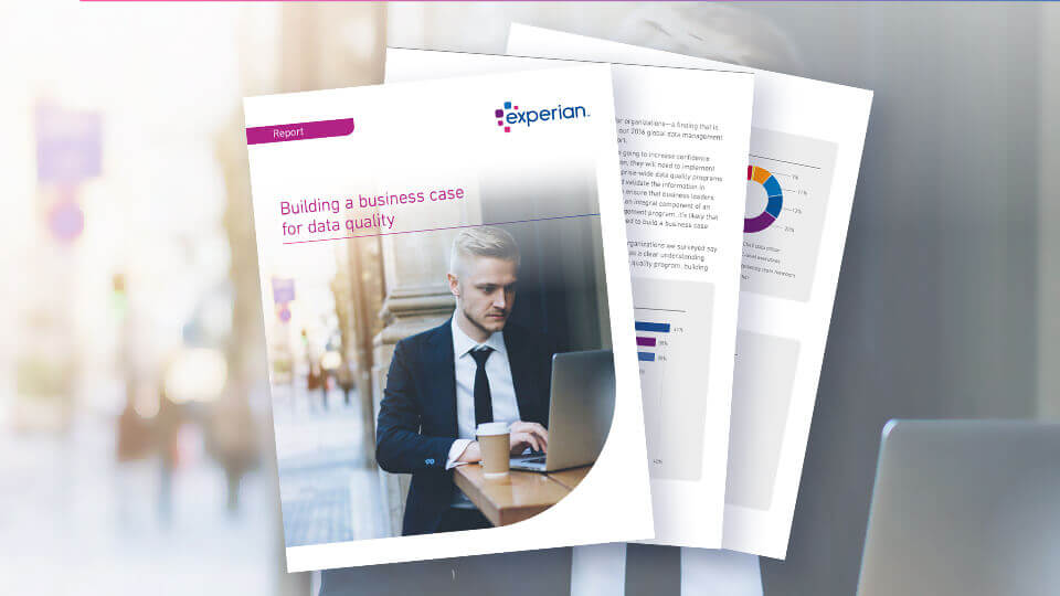 Building a business case for data quality white paper